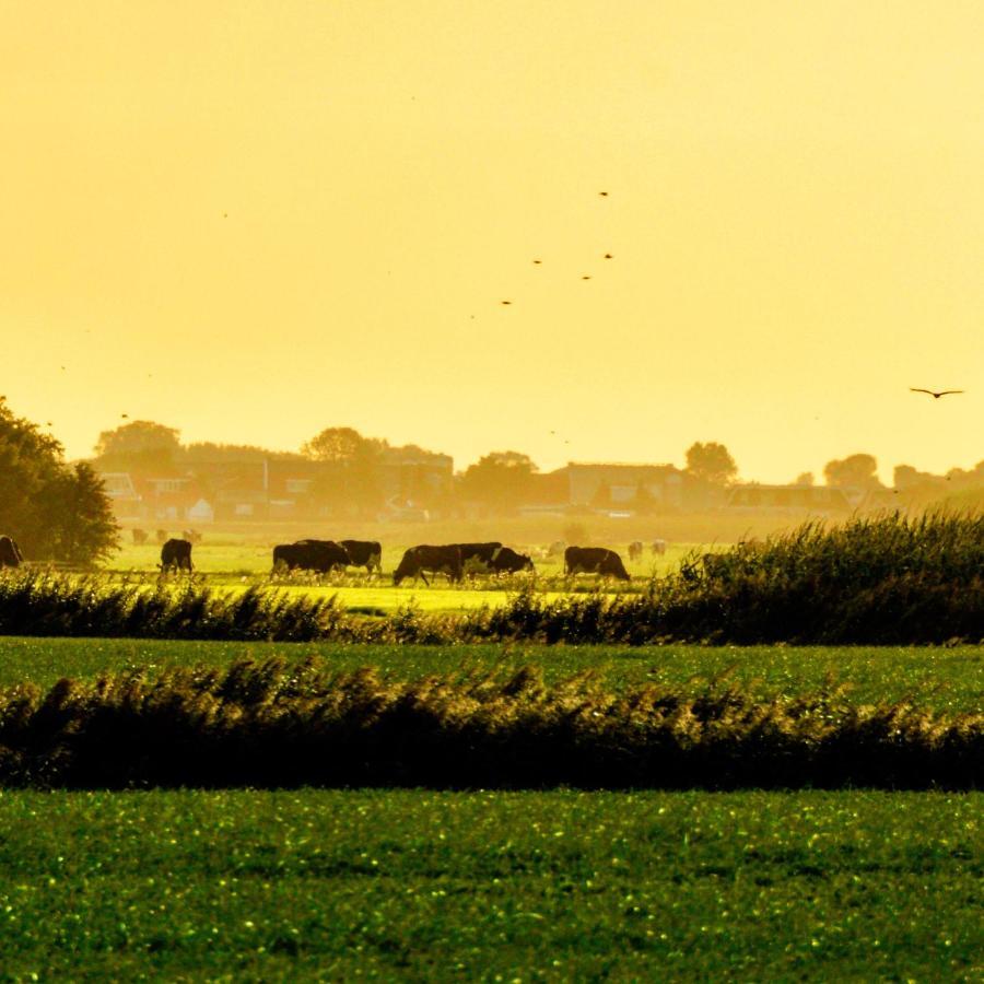 Vakantiehuis Het Voorhuis Op Landgoed Koepeltjesplaats Gaast Kültér fotó
